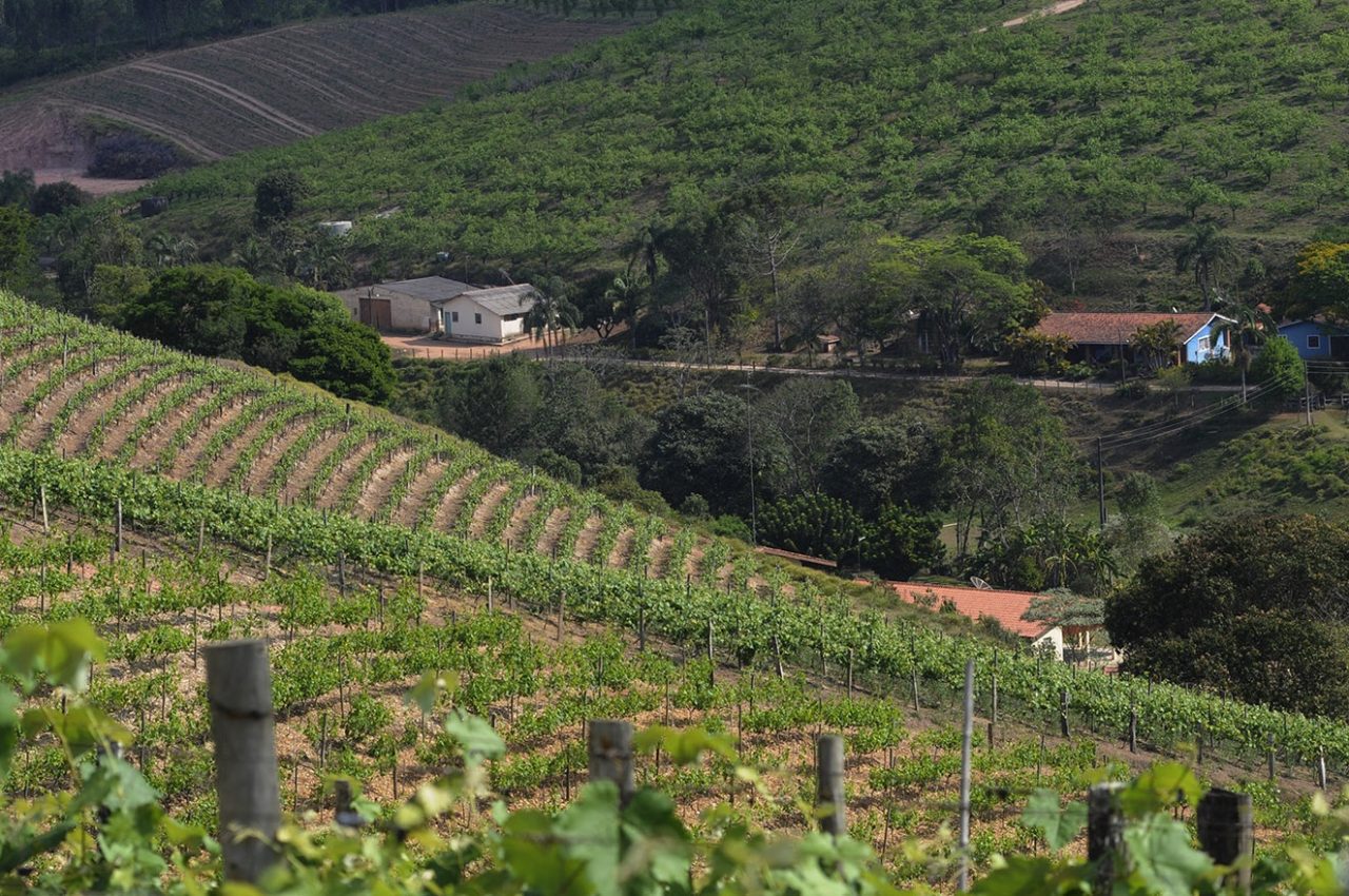 Apoio ao produtor rural Jundiaí é ampliado com nova lei