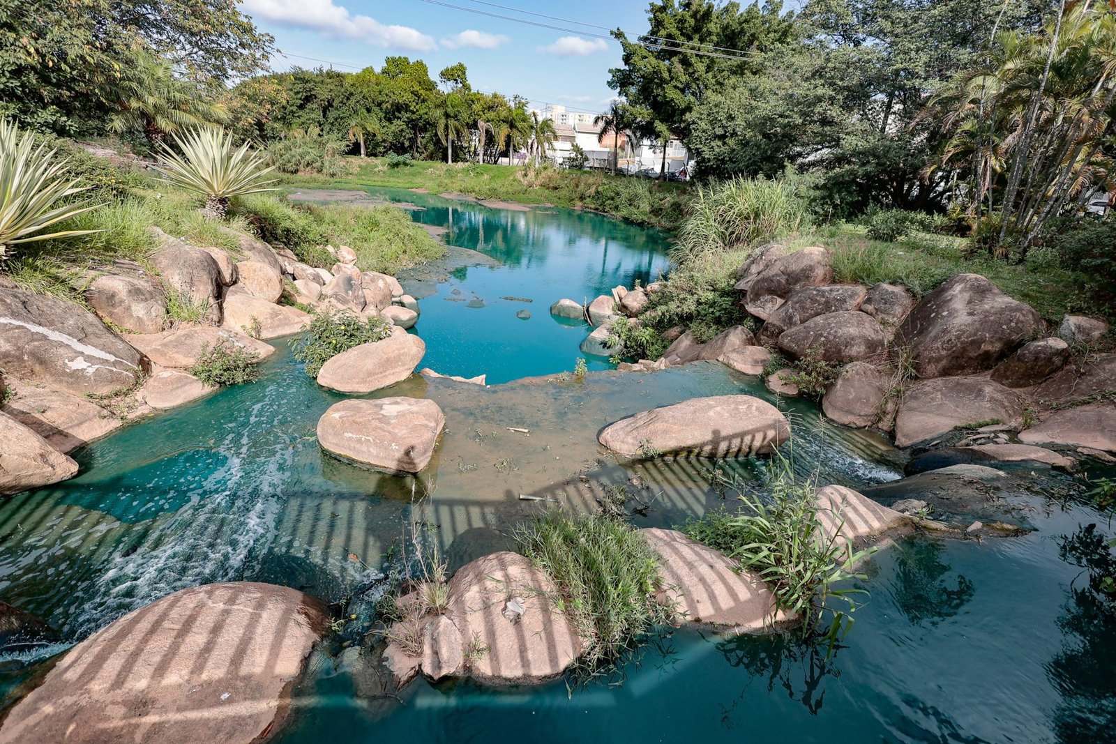 Após acidente ambiental, Parque do Tulipas recebe revitalização ousada