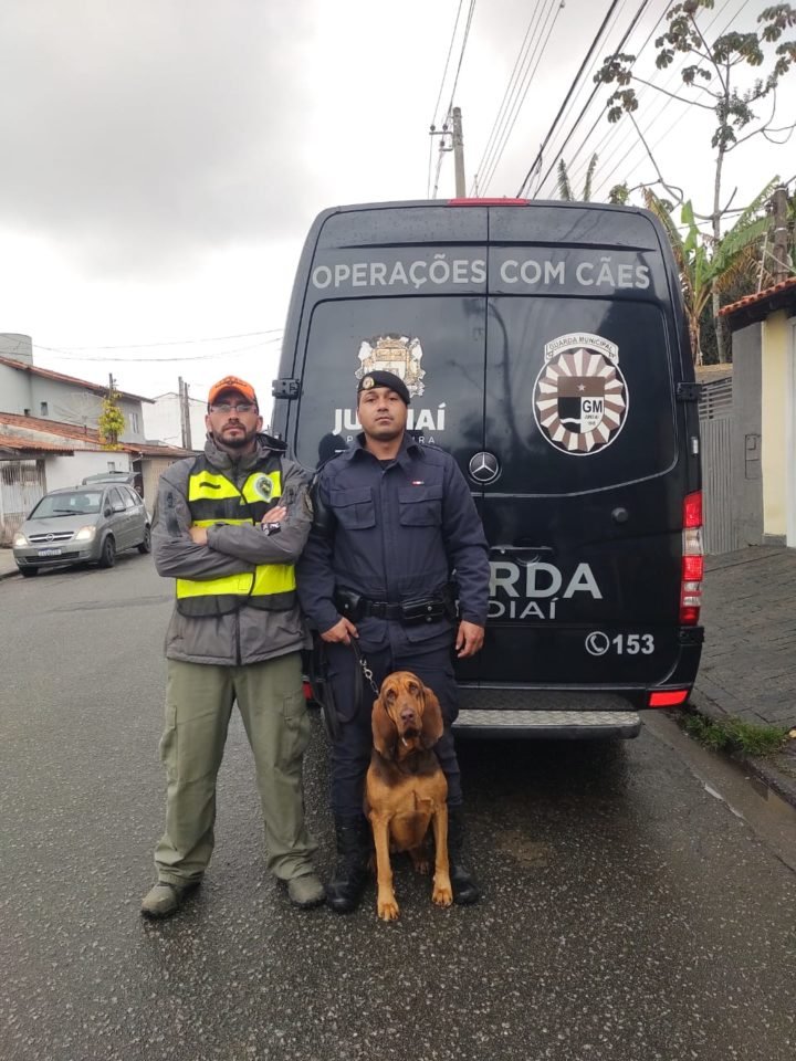 Jundiaí tem cão treinado para encontrar desaparecidos