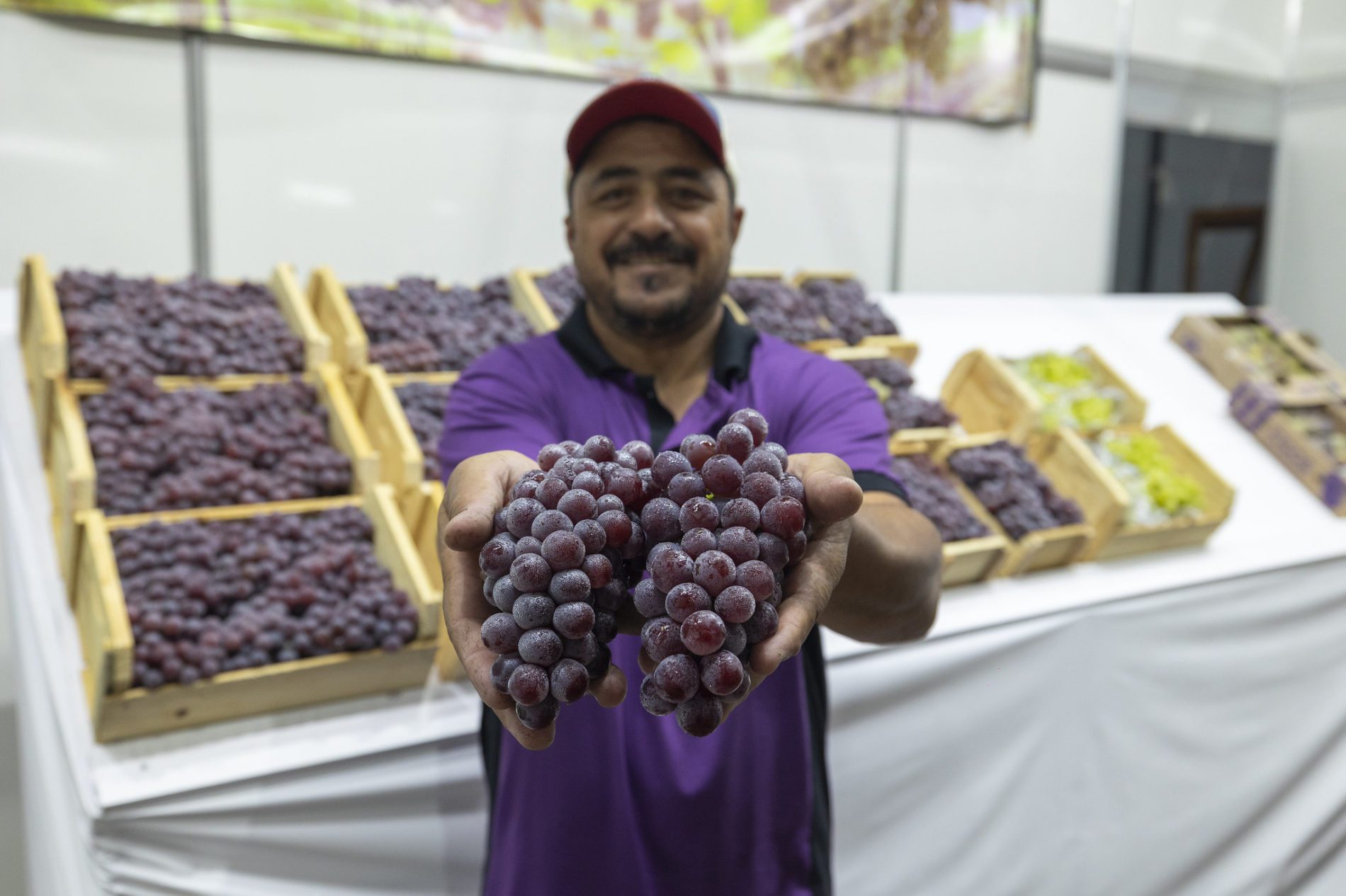 Festa da Uva vende 19 toneladas e impulsiona economia de Jundiaí