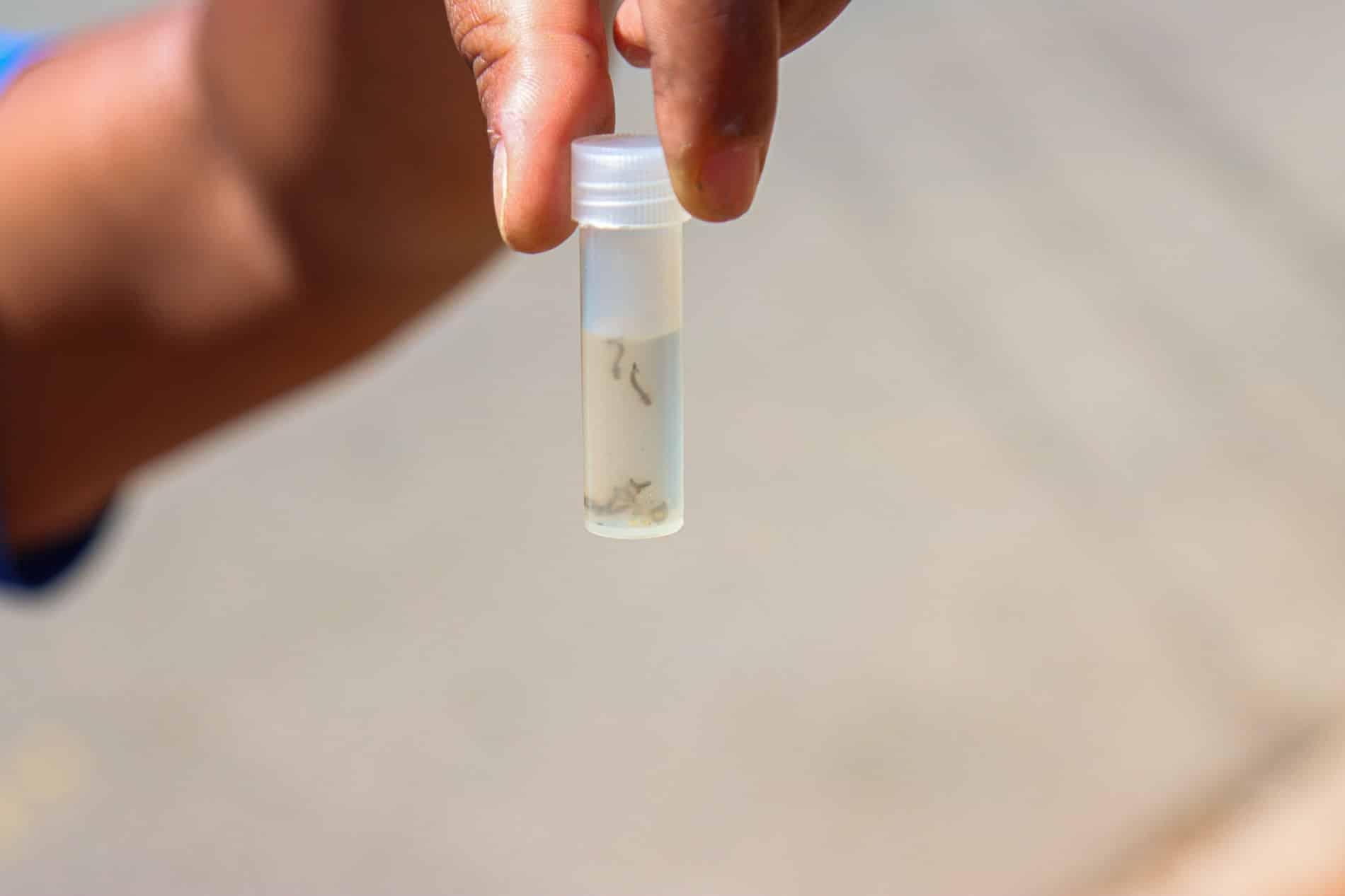 Jundiaí reduz dengue em 58% em relação ao último ano