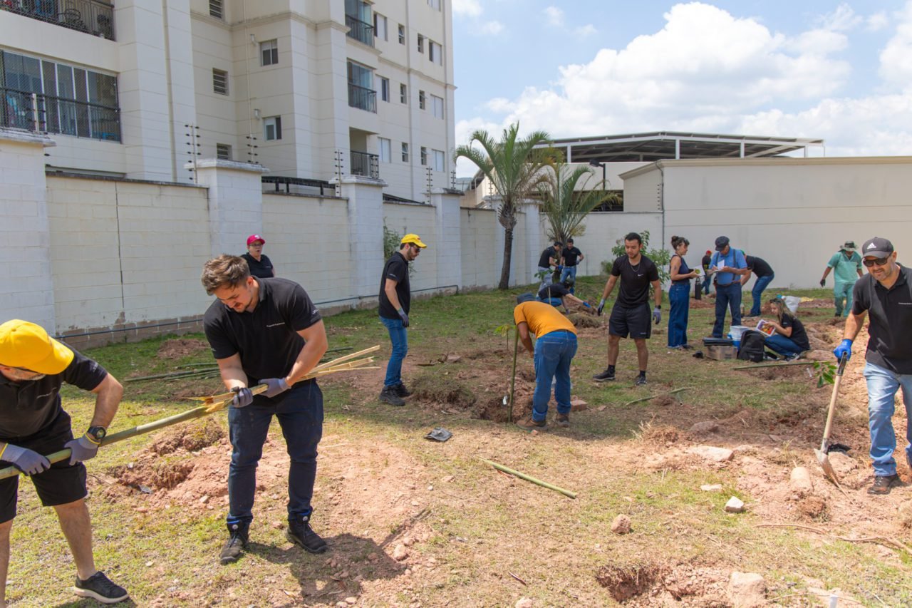 Plantio de árvores em Jundiaí reforça áreas verdes e qualidade de vida no Eloy Chaves