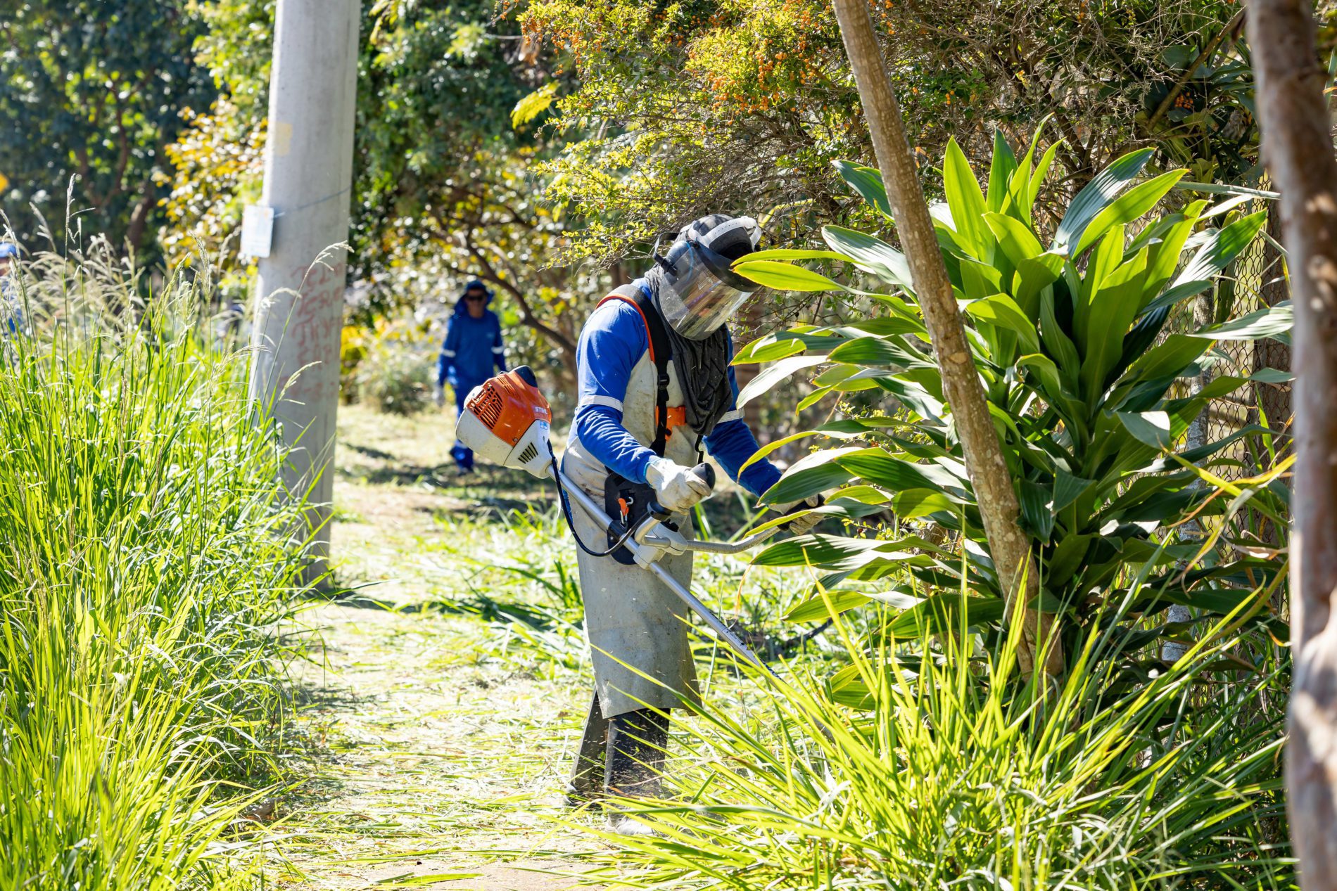 Quem Ama, Cuida já revitalizou 351 pontos em Jundiaí