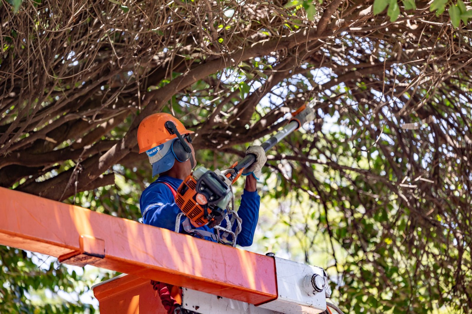Quem Ama Cuida atua na Região Oeste até o fim de 2025