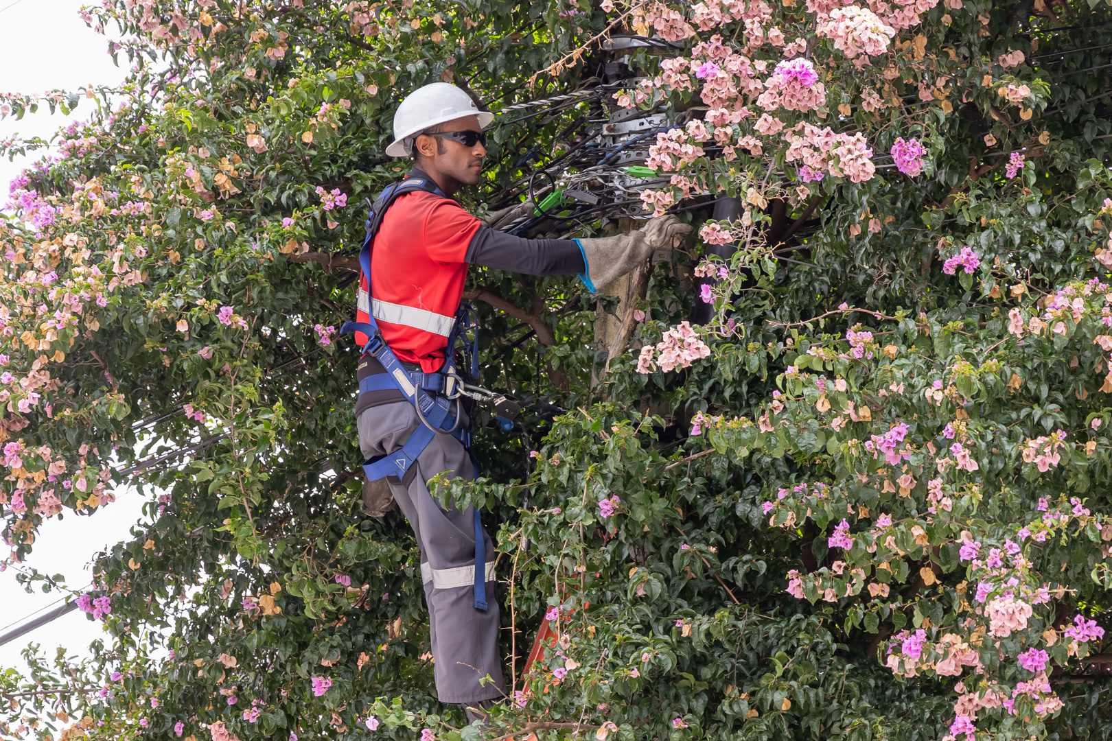 Jundiaí inicia reordenamento de cabos e melhora visual urbano na Região Sul