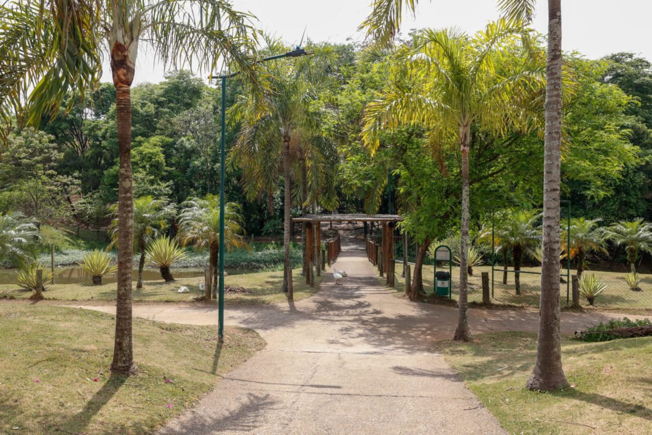 Revitalização do Parque Botânico Tulipas começa neste mês em Jundiaí