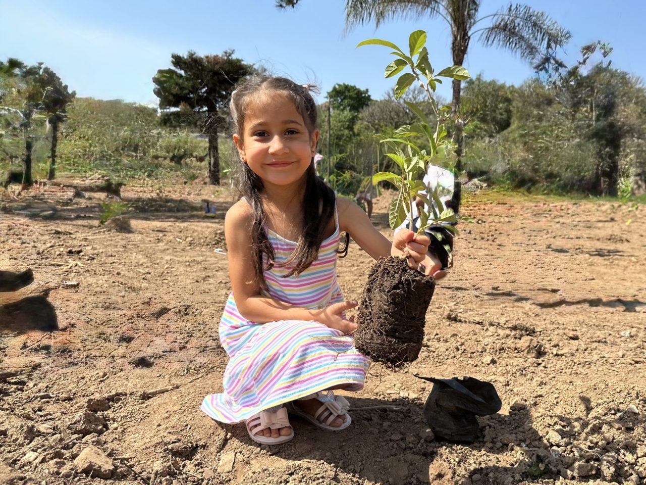 Semana da Árvore em Jundiaí mobiliza cidade com plantio de 600 árvores e educação ambiental