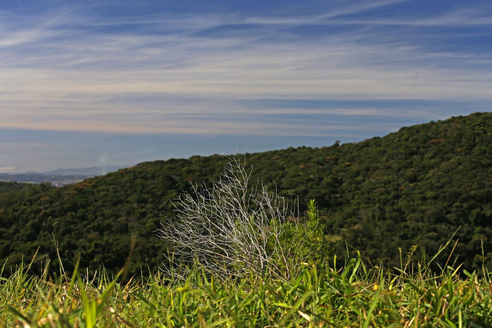Serra do Japi: descubra como um drone pode ajudar a preservá-la!