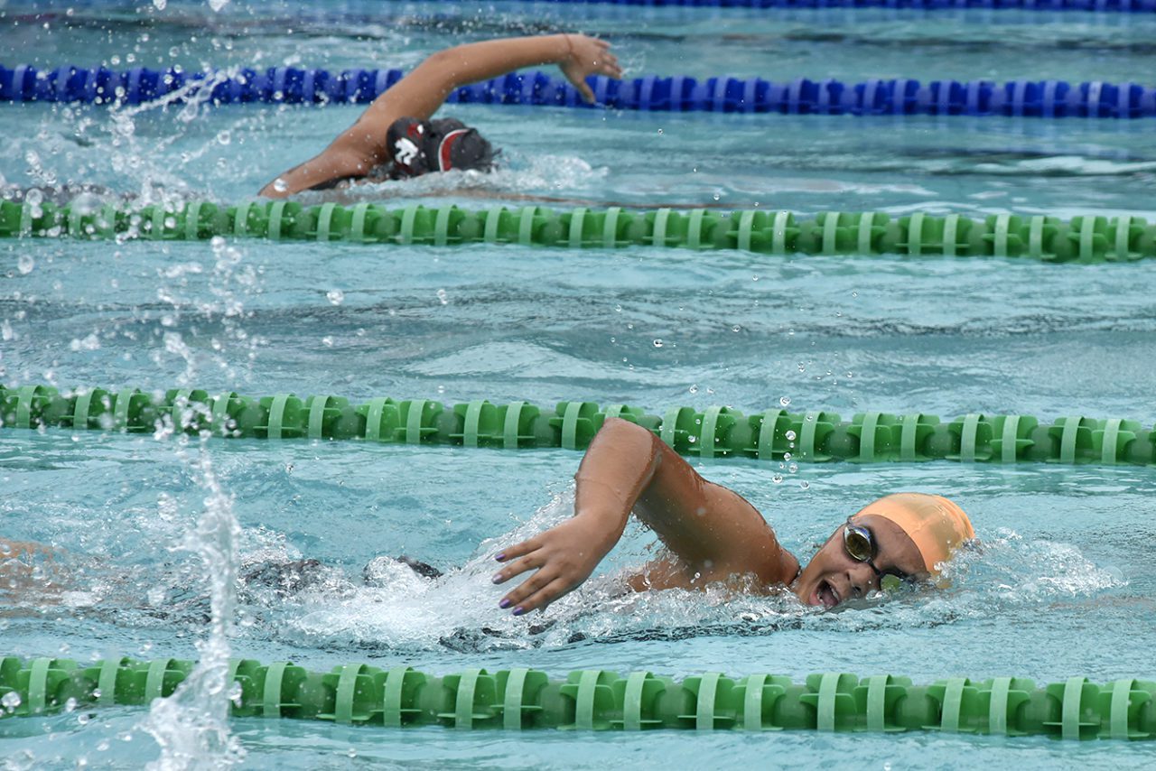 Torneio Tubarão de Natação Jundiaí 2025 abre inscrições com foco na valorização do esporte local