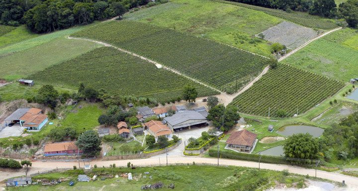 Turismo rural em Jundiaí avança com capacitação de produtores